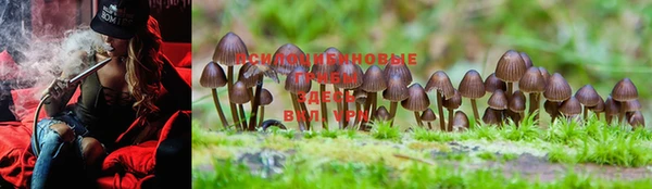 гашишное масло Горняк