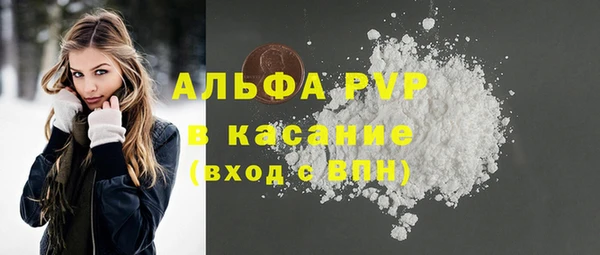прущие грибы Горнозаводск