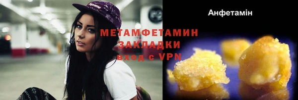 прущие грибы Горнозаводск