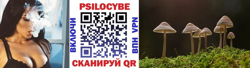 Галлюциногенные грибы мухоморы  наркошоп  Дубна 