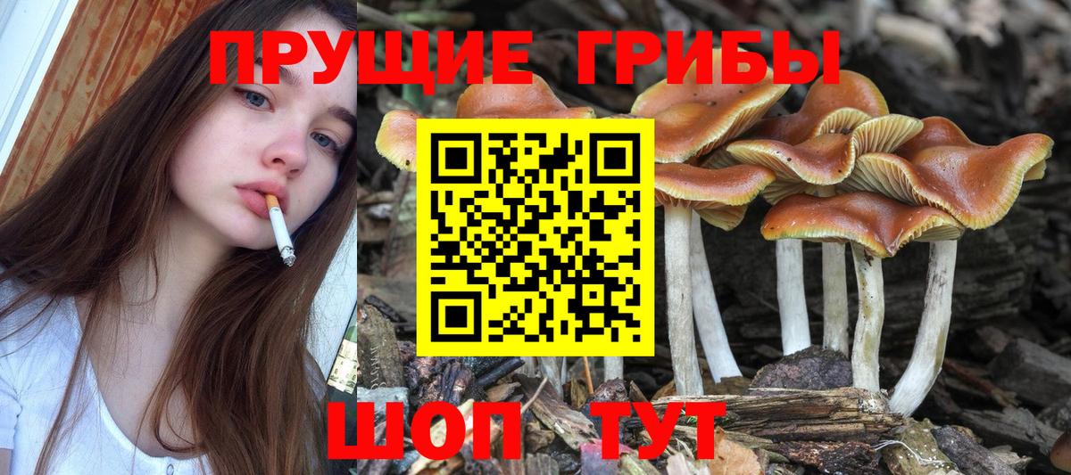 Галлюциногенные грибы MAGIC MUSHROOMS  Галлюциногенные грибы мицелий  Вход с VPN  Дубна 