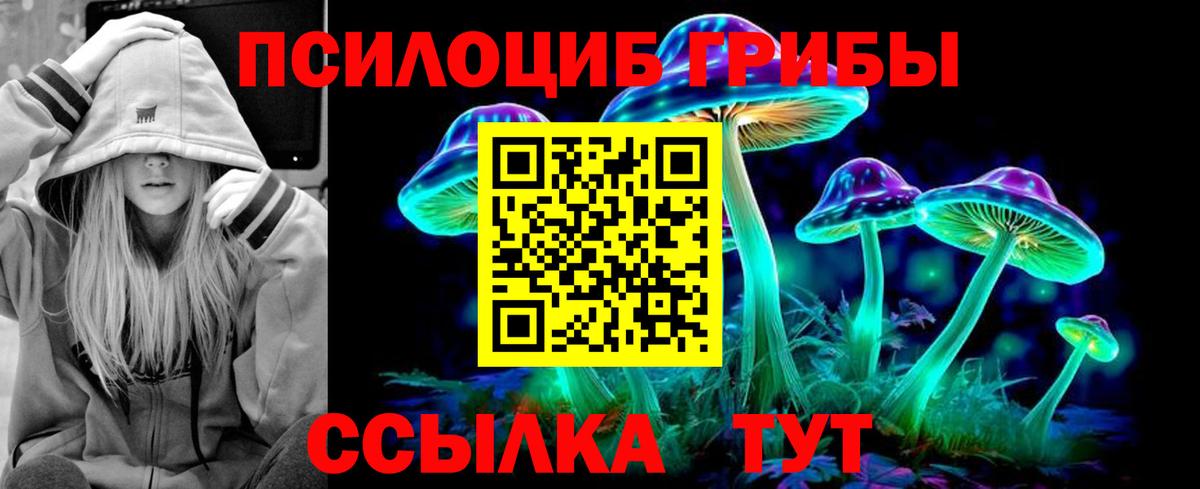 Псилоцибиновые грибы MAGIC MUSHROOMS Дубна